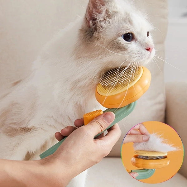 Pumpkin Cat Comb For Grooming