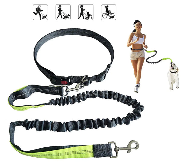 Hands Free Waist Dog Leashes For Running