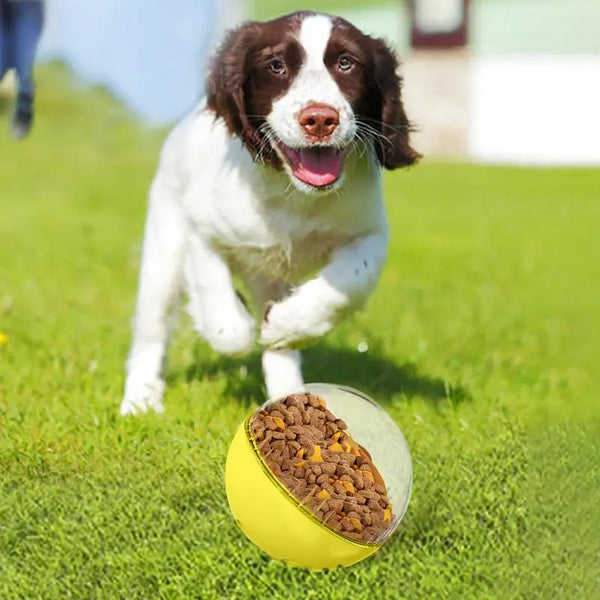 Interactive Squeaky Toy Ball