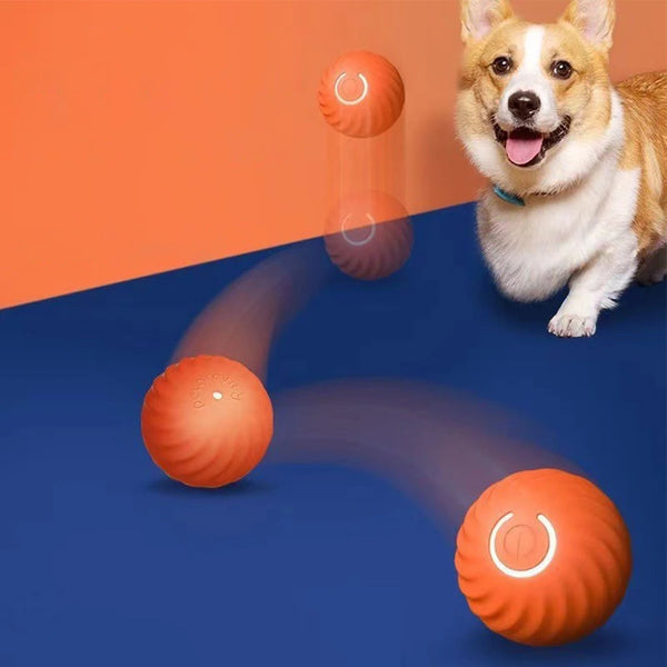 Rechargeable Automatic Moving Ball for Dog & Cat